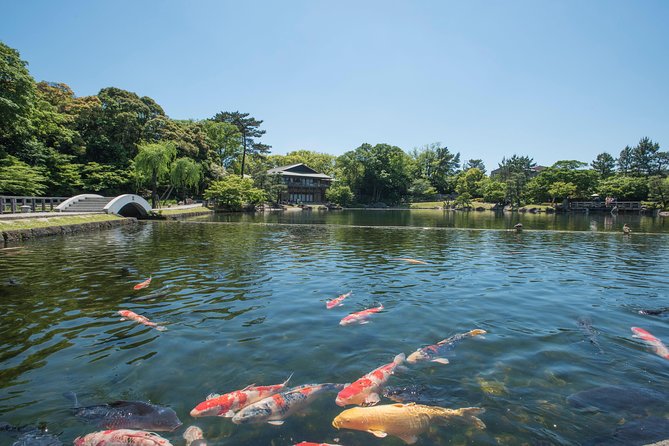Guided Half-day Tour (AM) to Nagoya Castle & Tokugawa Museum and Garden - Transportation and Group Size