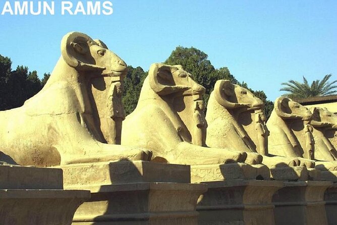 Guided Half-Day Tour of Nile East Bank From Luxor by Air-Conditioned Vehicle - Confirmation and Accessibility