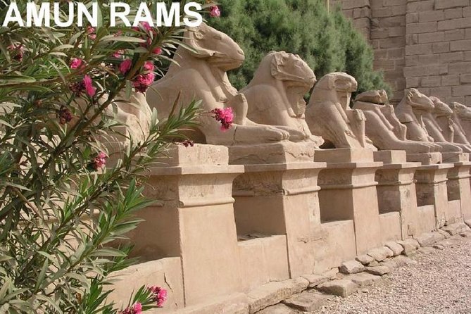 Guided Half-Day Tour of Nile East Bank From Luxor by Air-Conditioned Vehicle - Luxor Hotel Pickup and Drop-off