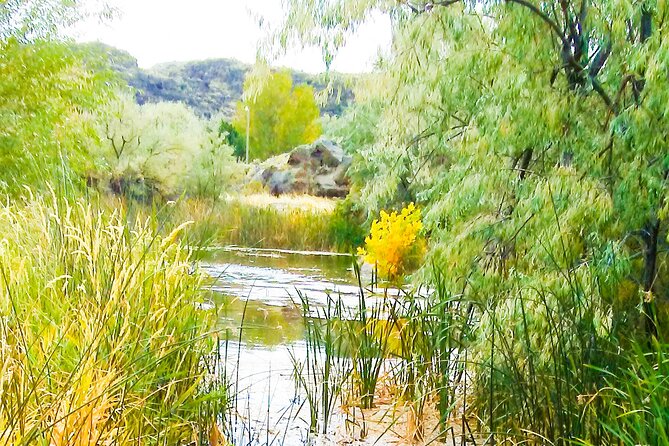 Guided Half-Day Tour to Dierkes Lake & Shoshone Falls - Activity Details