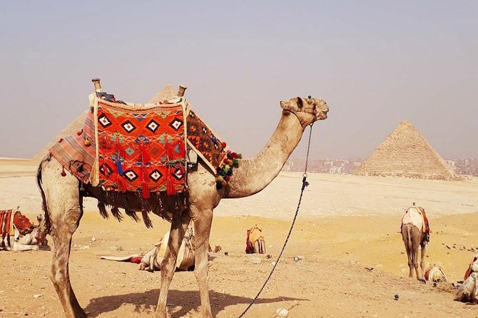 Guided Half-Day Trip to Giza Pyramids With Camel-Riding - Cancellation Policy