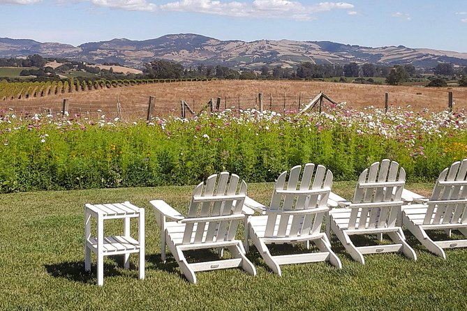 Guided Healdsburg Wine Country Bike and Wine Tasting Tour With Lunch - Professional Local Guide Services