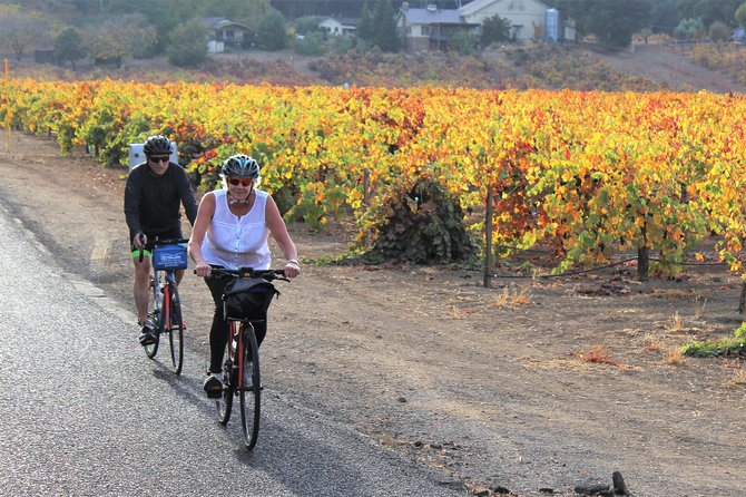Guided Healdsburg Wine Country Bike and Wine Tasting Tour With Lunch - Tour Participant Requirements