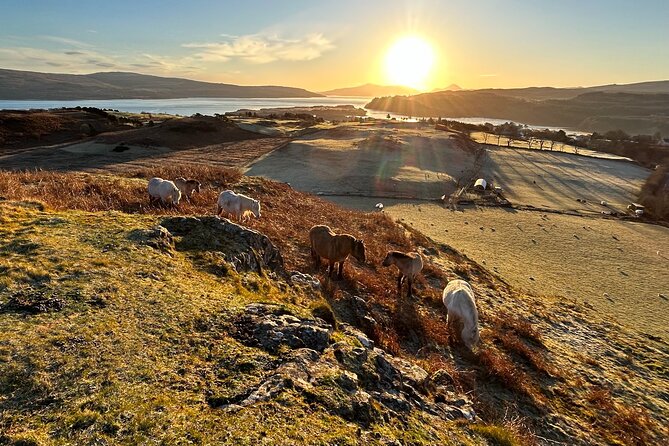 Guided Hebridean Farm Hike Near Tobermory, Isle of Mull, Scotland - Exploring the Hebridean Farm
