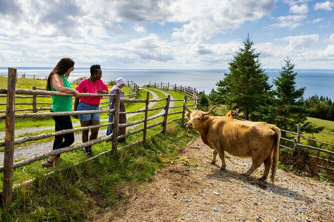 Guided Highland Village and Baddeck Bus Tour for Cruise Excursion - The Value for Your Money