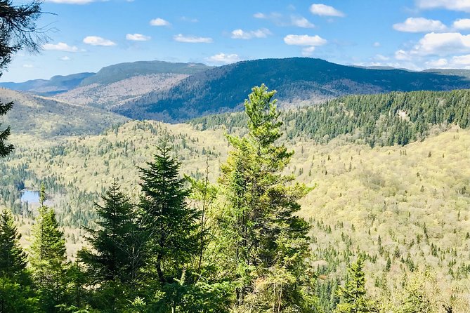 Guided Hike in Jacques-Cartier National Park - Whats Included in the Tour