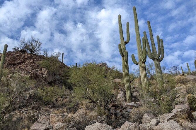 Guided Hike: Lime Kiln Desert Hike on the Lower Salt River - Health and Safety Guidelines