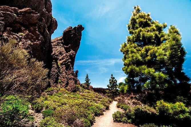 Guided Hike - The Tajinaste Trail - Booking and Cancellation Policy