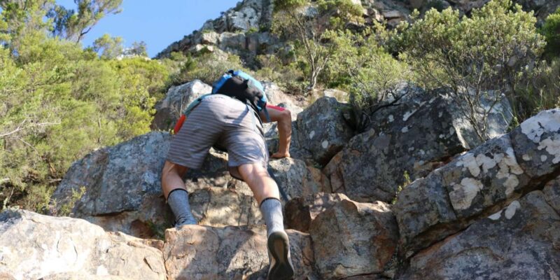 Guided Hike to the Top of Table Mountain - Stunning Views