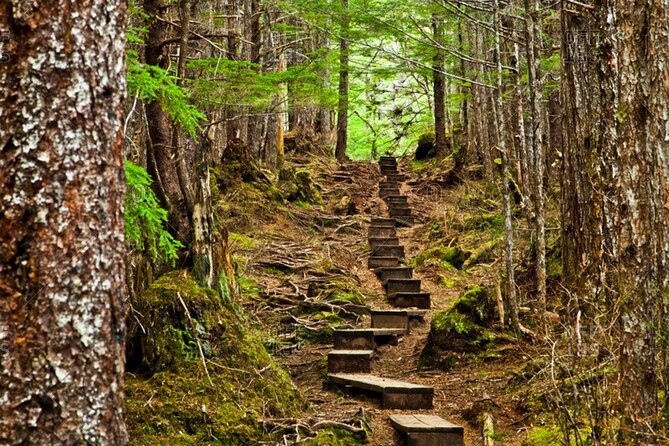 Guided Hike | TONGASS NATIONAL FOREST - Price and Booking