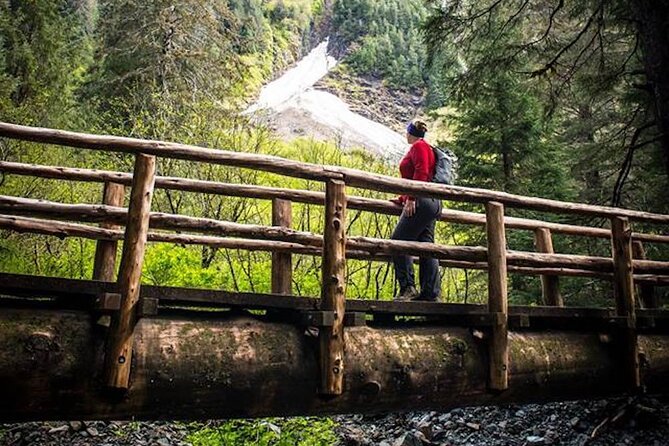 Guided Hike | TONGASS NATIONAL FOREST - Preparing for the Hike