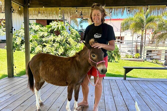 Guided Hike with Miniature Donkeys to a Secluded Beach - Key Points