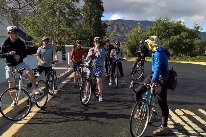 Guided Hiking, Biking, Rock Climbing, Tennis and Pickleball - Biking Through Orange Groves