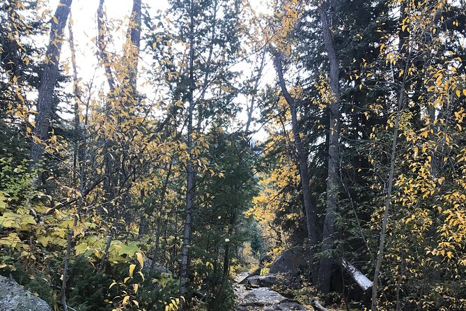 Guided Hiking Experience of Iconic Mirror Lake & Lone Eagle Peak - Booking and Cancellation Policy