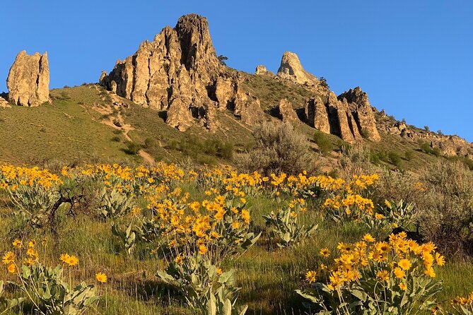 Guided Hiking in Southern California - Meeting and Pickup Details