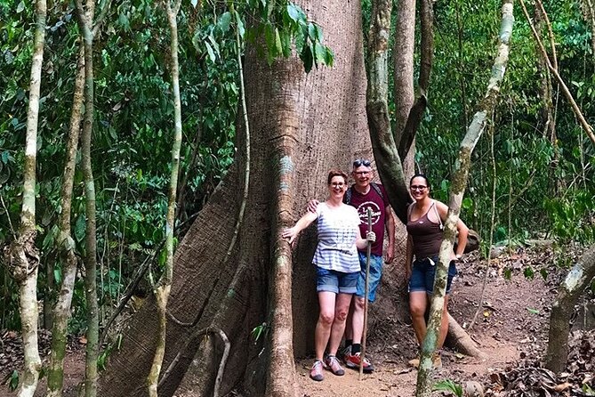 Guided Hiking Tour by the Mystic Ebano Rainforest in Costa Rica - Included in the Tour