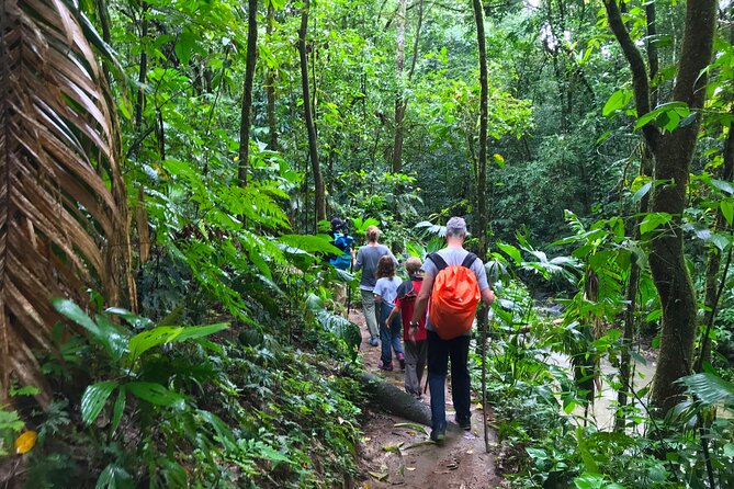 Guided Hiking Tour by the Mystic Ebano Rainforest in Costa Rica - Pricing and Cancellation