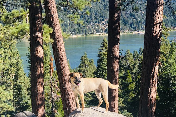 Guided Hiking Tour in Big Bear With Sunset Champagne Toast on Private Dock - Meeting Point and Time