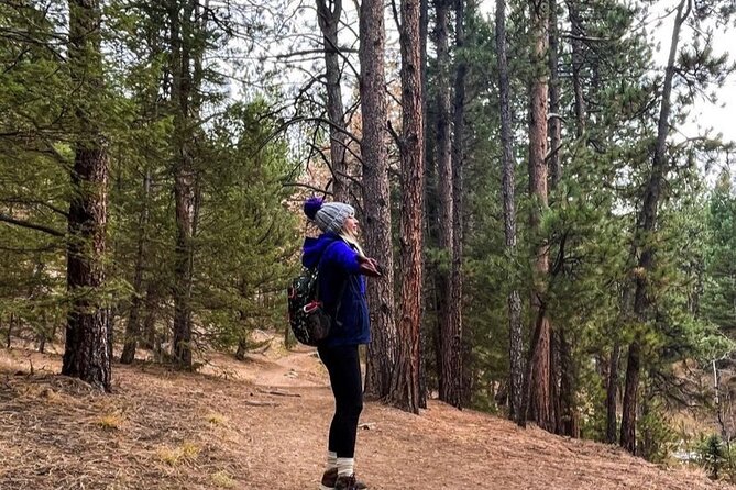 Guided Hiking Tour in Colorado Mountains - Hiking Difficulty