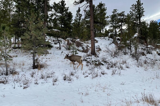 Guided Hiking Tours Near Fort Collins - Accessible and Affordable Pricing