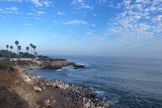 Guided Historic La Jolla Village Walking Tour - Stroll Along the Picturesque Coastline