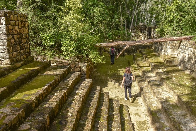 Guided Historical Tours at the Mayan Cities! - Discovering Native Wildlife and Scenery