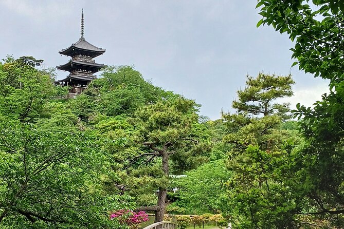 Guided History & Nature Exploration in the Yokohama Hill Area - Meeting and Pickup Details