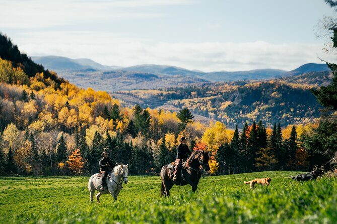 Guided Horse Riding in the Bay of Saint Paul Valley - The Experience: What You Can Expect