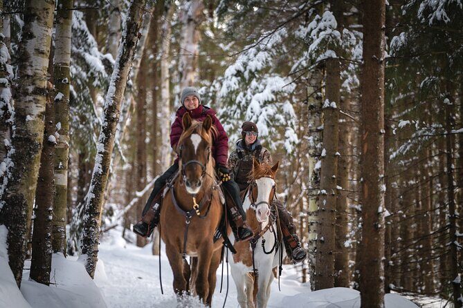Guided Horse Riding in the Bay of Saint Paul Valley - The Reviews: Authentic Perspectives