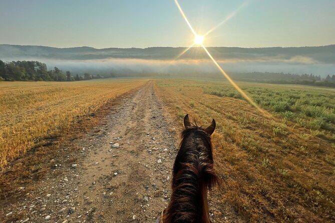 Guided Horse Riding in the Bay of Saint Paul Valley - Pricing and Value
