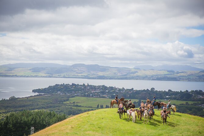 Guided Horse Trekking From Rotorua - Safety Equipment and Transportation