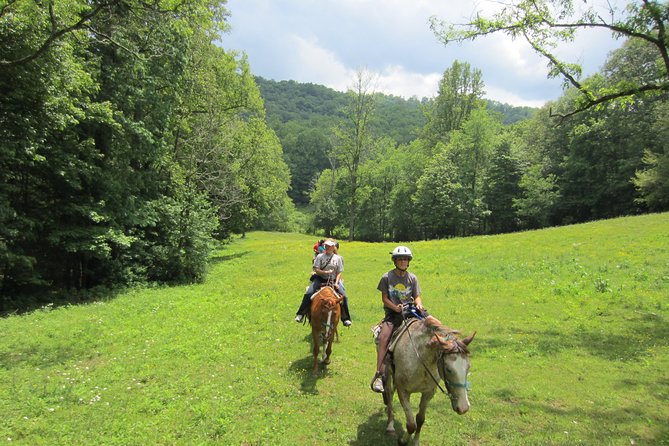 Guided Horseback Ride Through Flame Azalea and Fern Forest - Inclusions and Equipment