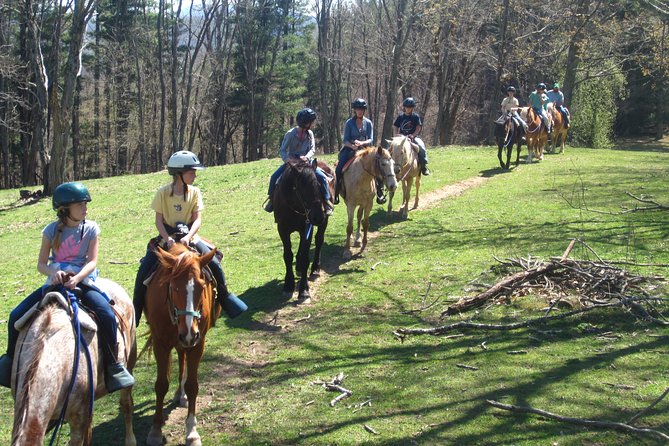 Guided Horseback Ride Through Flame Azalea and Fern Forest - Confirmation and Booking Details