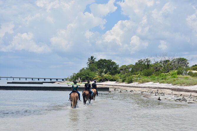 Guided Horseback Riding on The Pristine Waters of Miami Florida - Inclusions and Booking Policies
