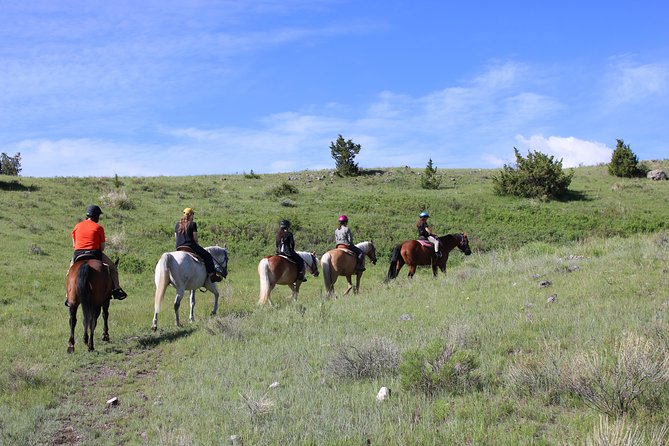 Guided Horseback Trek Through Blue Flower Trail - During the Trek