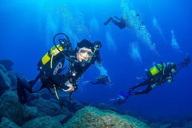 Guided Immersion From Santa Cruz De Tenerife - Facilities and Services