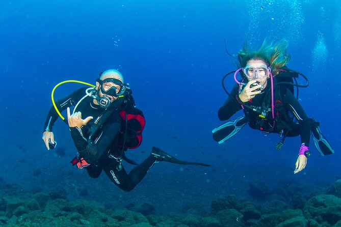 Guided Immersion From Santa Cruz De Tenerife - Reviews and Ratings