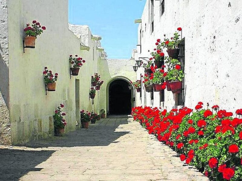 Guided in Arequipa and the Monastery of Santa Catalina - Booking Information