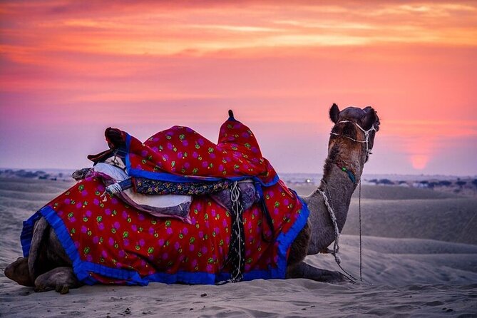Guided Jaisalmer City Tour With Drop Off at Mount Abu - Accessibility and Participation