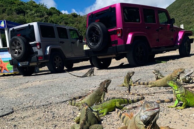 Guided Jeep Tour Exploring French and Dutch St Maarten - Highlights and Memorable Moments