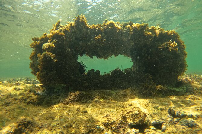 Guided Jet Scooter Snorkeling Experience, Free Videos San Juan - Professionalism and Helpfulness of Guides