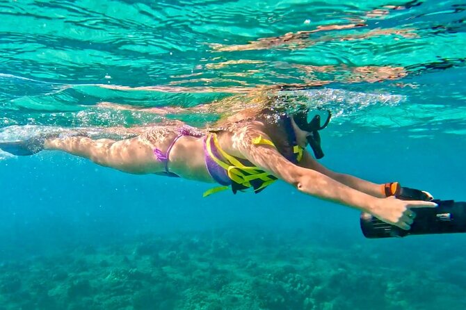 Guided Jet Snorkel Experience, Free Videos in West Palm Beach - Key Points