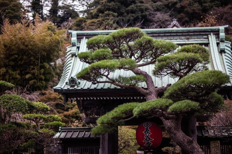 Guided Kamakura Private Tour GREEN NUMBER PLATES - What to Bring and Restrictions