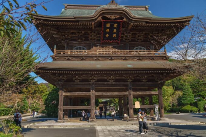 Guided Kamakura Private Tour GREEN NUMBER PLATES - Discovering Tsurugaoka Hachimangu Shrine and Kencho-ji Temple