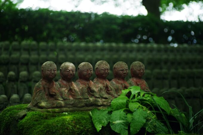 Guided Kamakura Private Tour GREEN NUMBER PLATES - FAQ