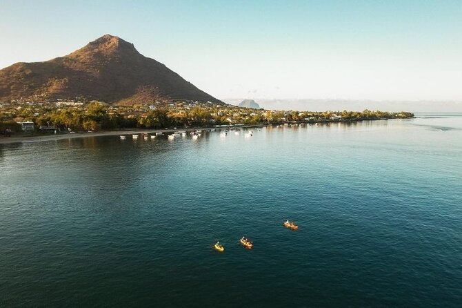 Guided Kayak 2-Hour Activity With Dolphins - Meeting and Pickup