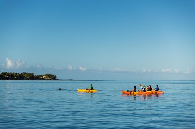 Guided Kayak 2-Hour Activity With Dolphins - Inclusions and Exclusions