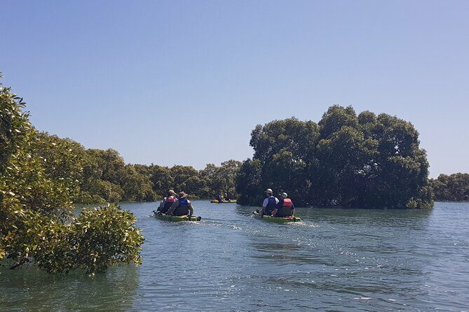 Guided Kayak Adventure Tour - Key Points
