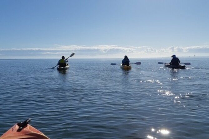Guided Kayak Adventure Tour - The Experience in Detail
