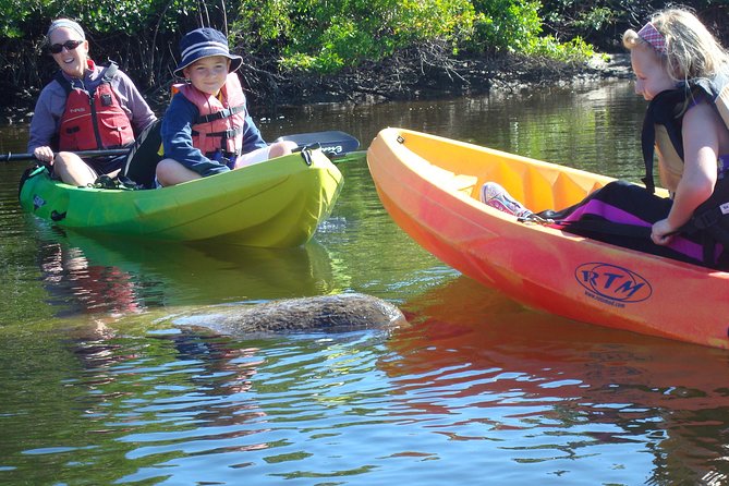 Guided Kayak Eco Tour - Bunche Beach - Tour Details and Duration